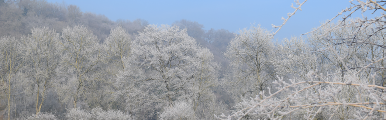 Hiver