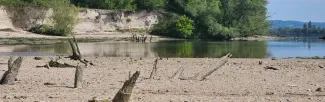 plage aux hirondelles