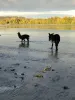 un duo en balade en bord de Seine